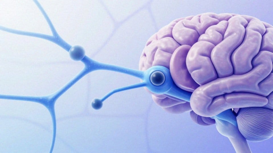 Jak morfina działa na receptory opioidowe?