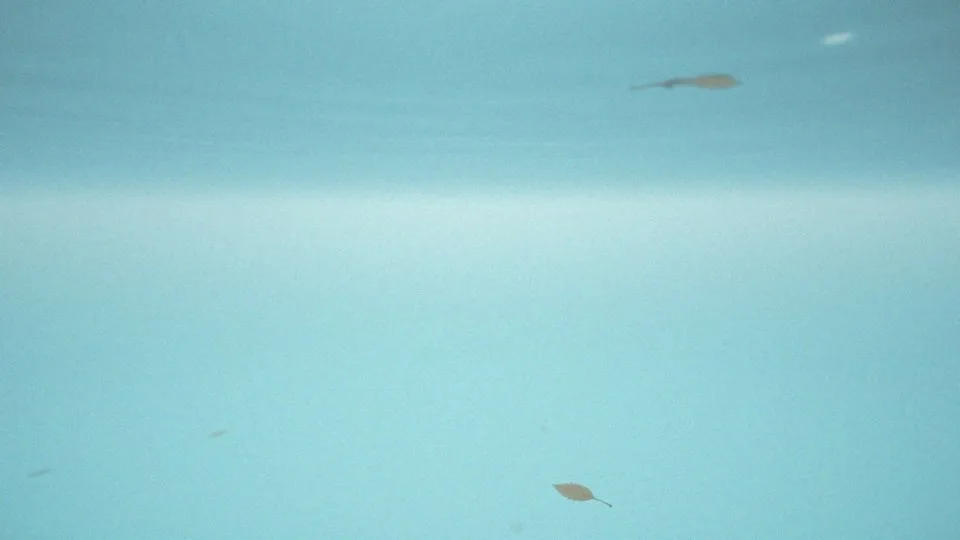 Co oznacza mętna woda w basenie?