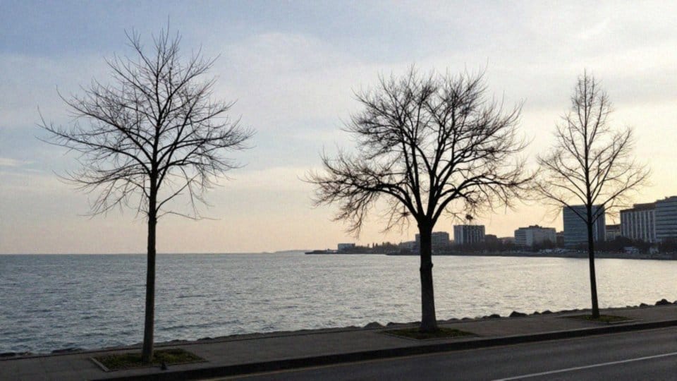 Jakie są średnie temperatury w Batumi?