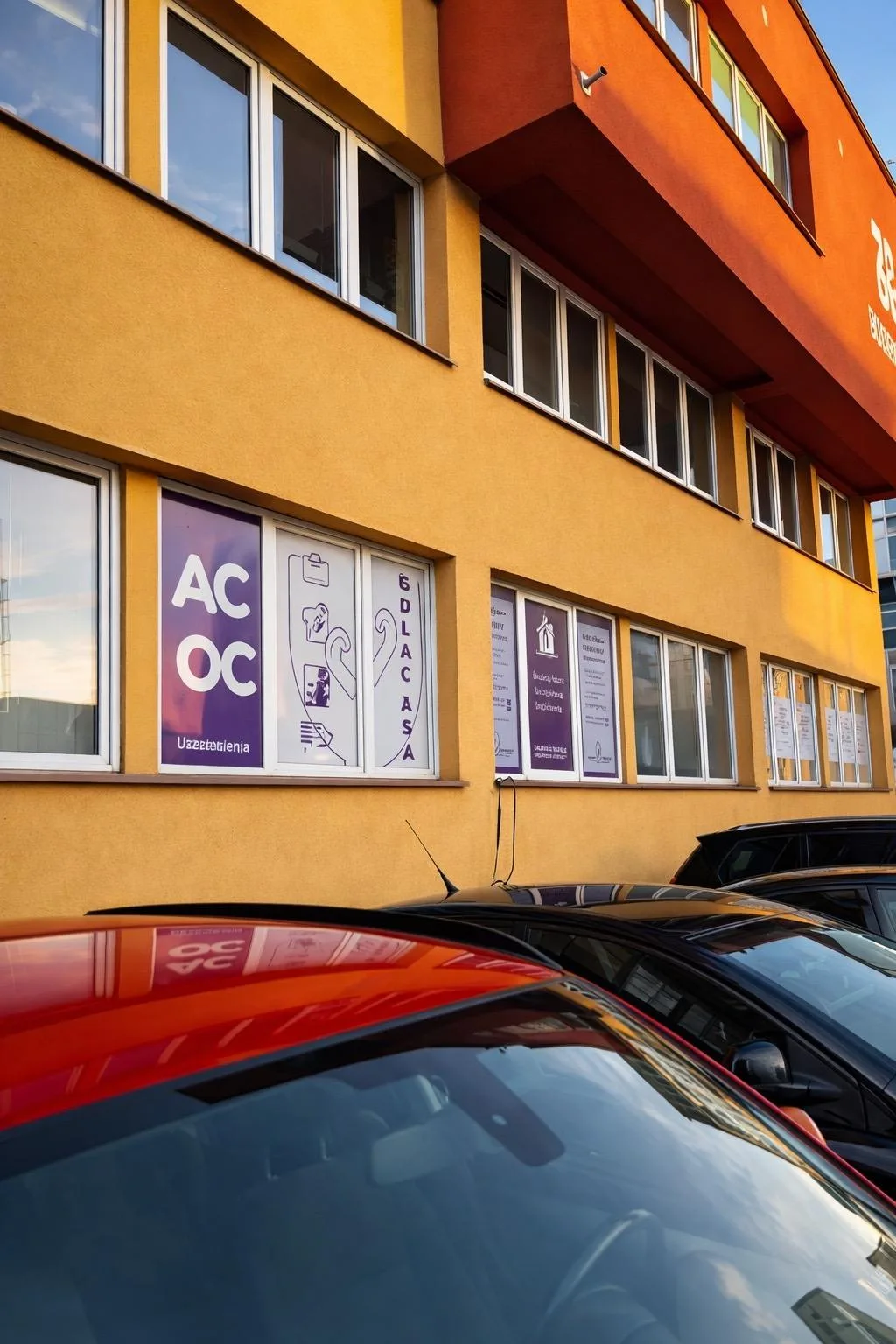 Zdjęcie 5