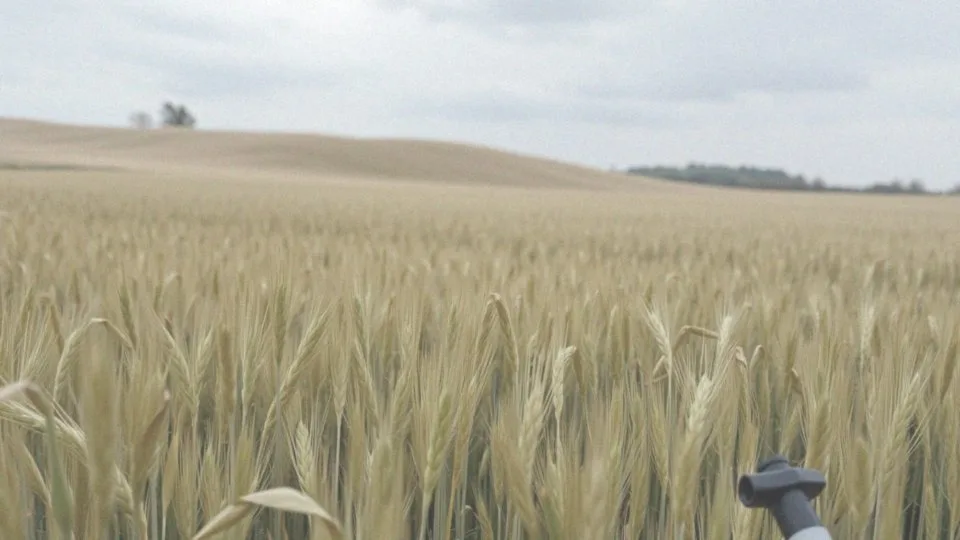 Chwastox Extra 300 SL dawkowanie i warunki stosowania