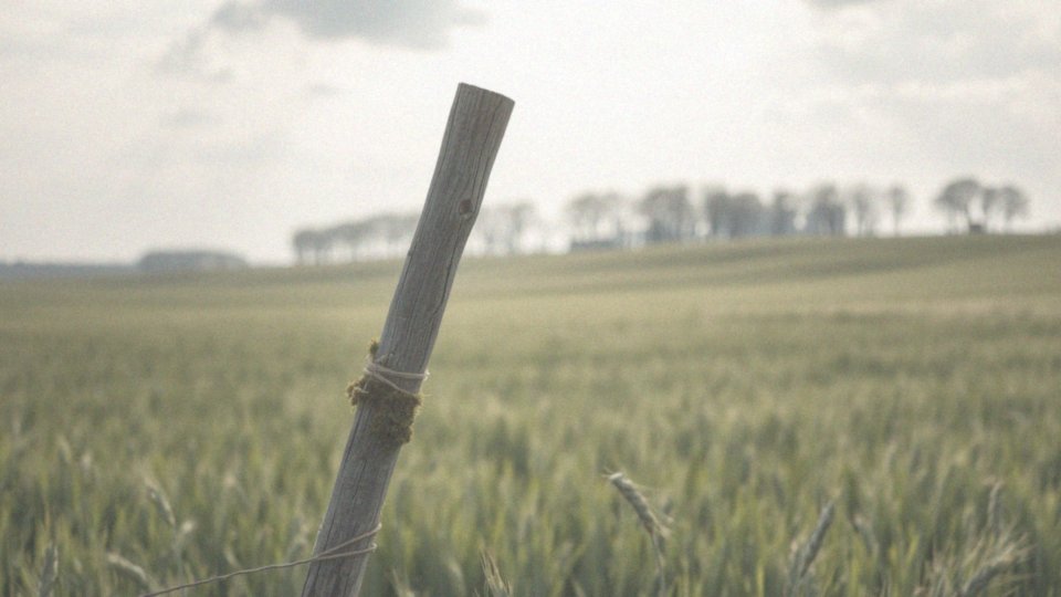 Jak wzmocnić kręgosłup? Skuteczne ćwiczenia dla zdrowia pleców
