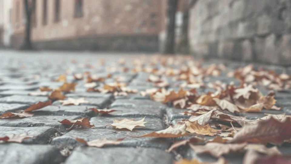 Od czego wypadają włosy? Przyczyny i skuteczne metody leczenia