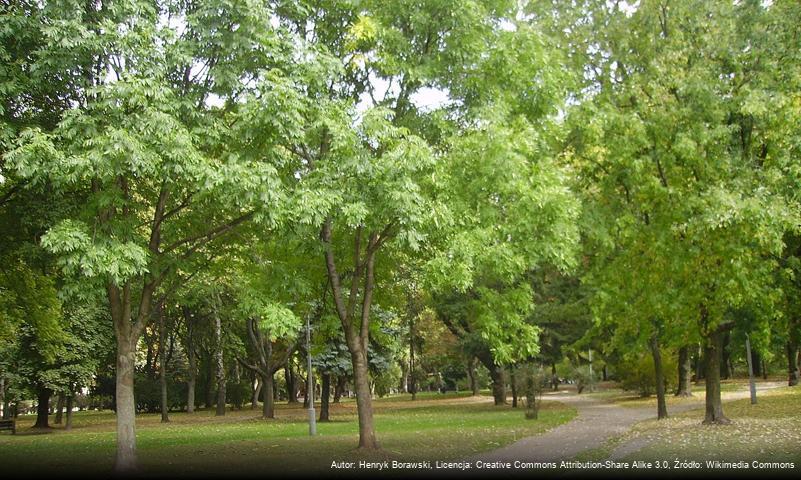 Park Centralny w Białymstoku