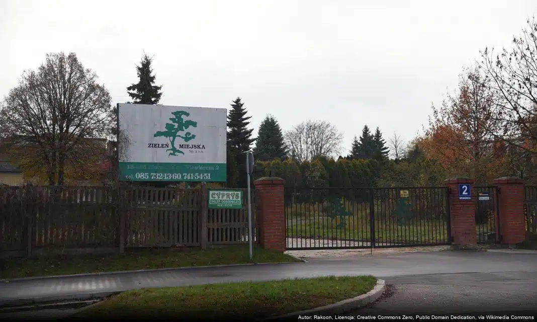 Ferie zimowe w Białymstoku: bogata oferta kulturalna i sportowa dla dzieci i młodzieży