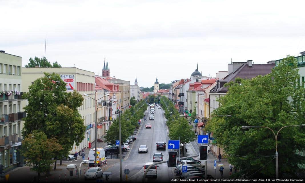 Miasto Białystok ogłasza sprzedaż drewna opałowego