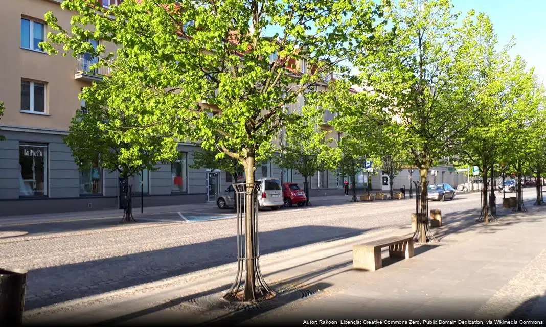 Białystok z ponad 192 mln zł na rozwój ekologicznego transportu