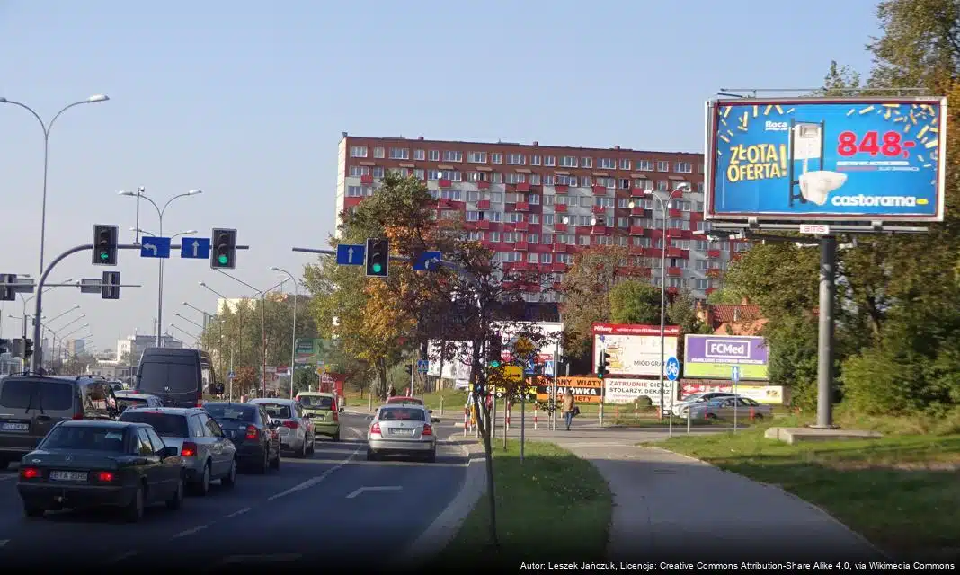 Żywe choinki dla Białostoczan w ramach „Akcji Choinka”